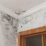 reparar prevenir humedad en las paredes